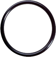 o-ring